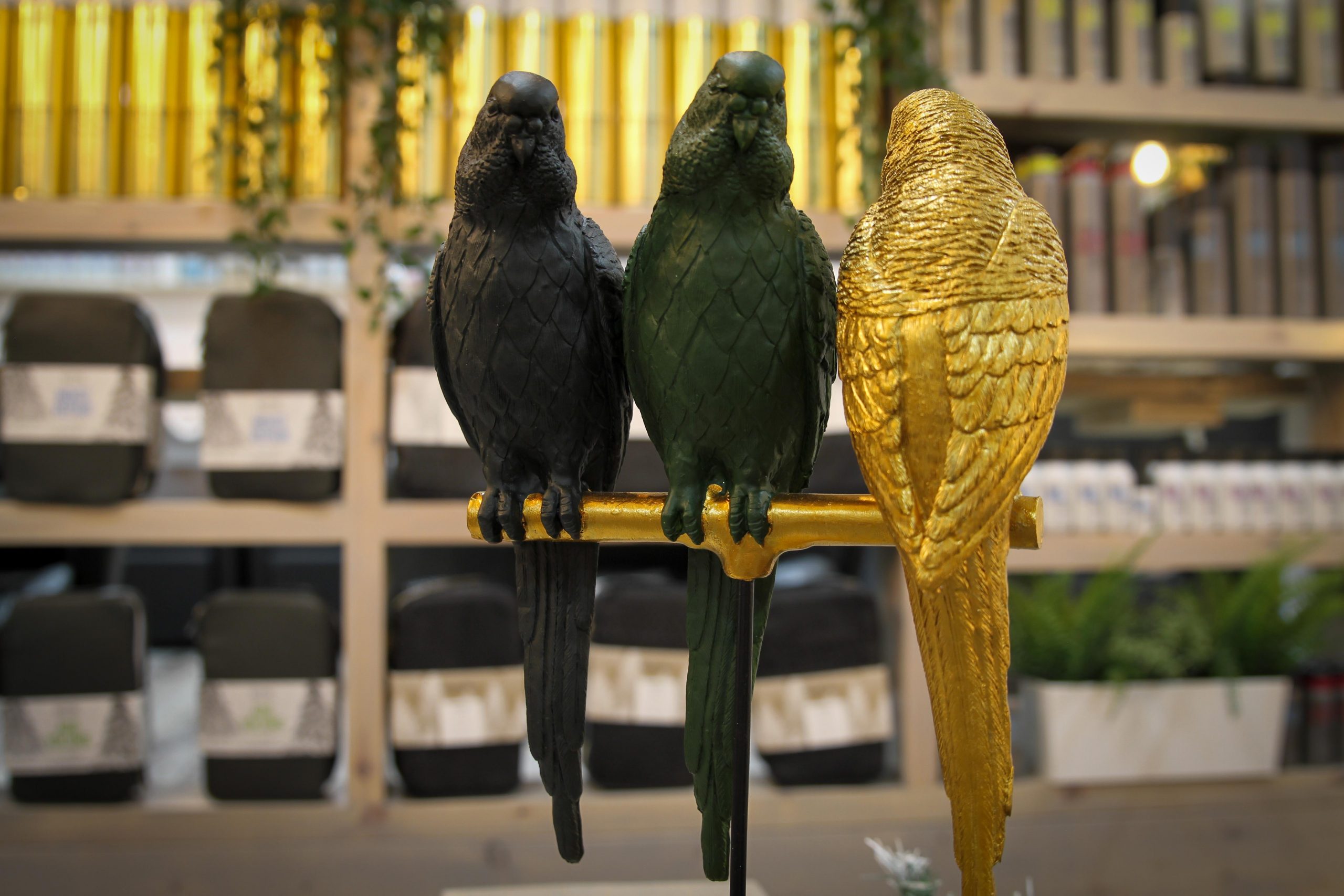 The Birdcage Hair Salon Completley devoted to you!